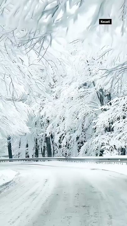 Kocaeli Kartepe yolu, kısık bir müzik, yanında sevdiğin insan… Muhteşem bir terapi ❄️