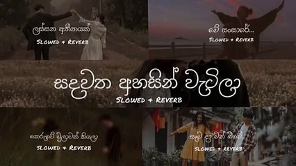 Slowed & Reverb | Sinhala Song Collection | Manoparakata (මනෝපාරකට) |Broken Hart |