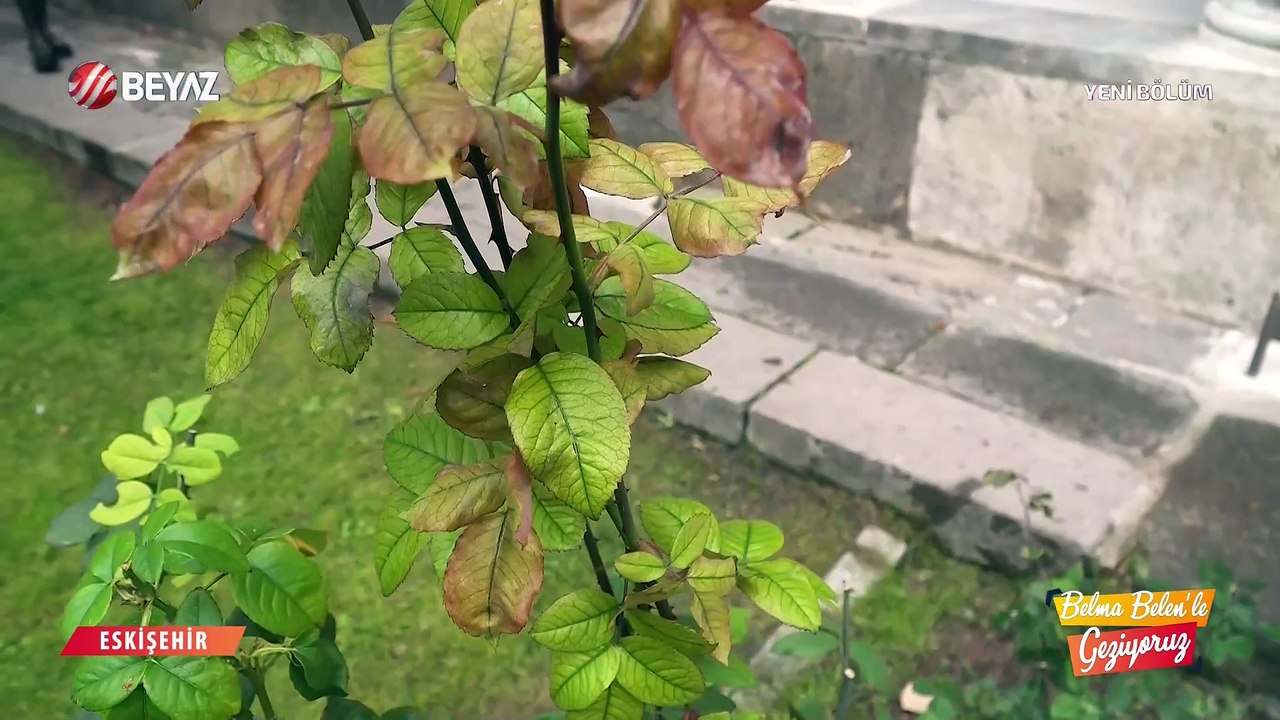 Belma Belen‘le Geziyoruz 1 Aralık 2024