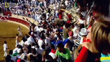 do or die hindi bull