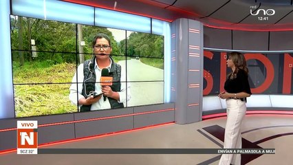 Derrumbes en el trópico