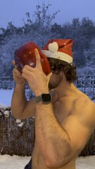 SERIE MENU DE NOEL