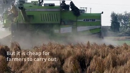 The farm fires helping to fuel India's deadly air