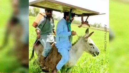 funny pakistani peoples moments Part 5 _ AHB Voice Creator