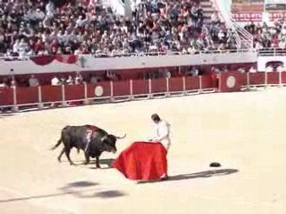 Feria de Palavas