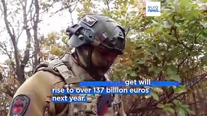 Moscow says its forces have 'liberated' two towns in the Donetsk region