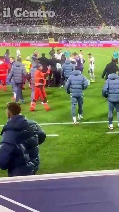bove sviene