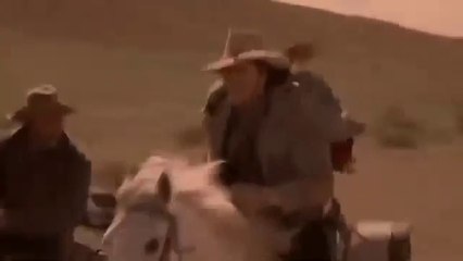OS ÚLTIMOS FORAS DA LEI