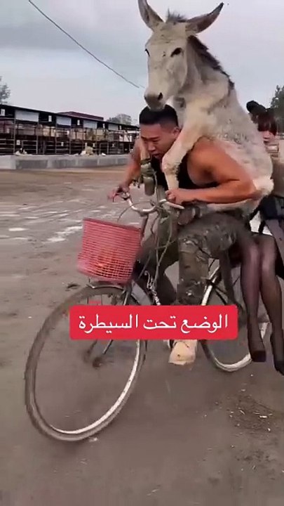 الوضع تحت السيطره