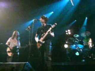 fin shinning eyes aux saulnières