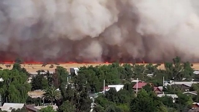 Incendio forestal en Chile ya consumió al menos 200 hectáreas, emiten alerta de evacuación