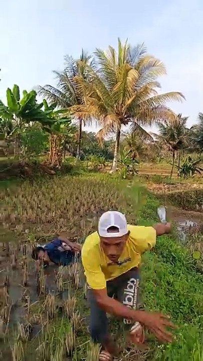 maaf gak sengaja