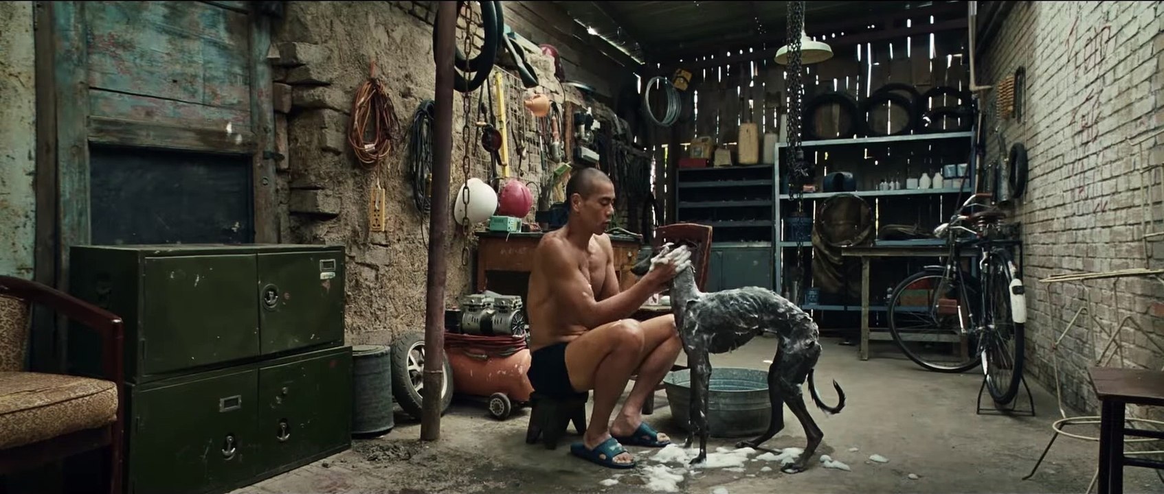 Black Dog - Weggefährten | movie | 2024 | Official Trailer