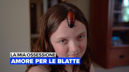 La mia ossessione: Amore per le blatte