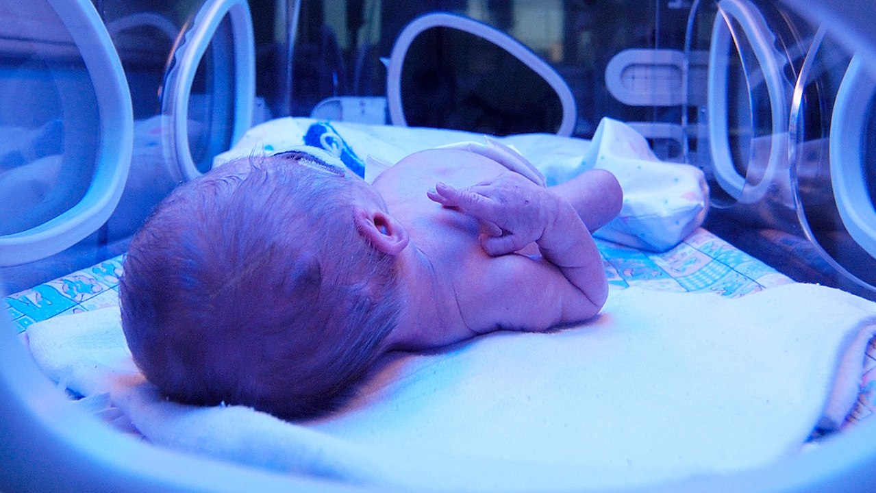 tn7-neonatal-011224