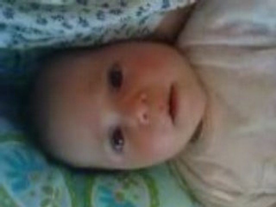 23 avril 2008