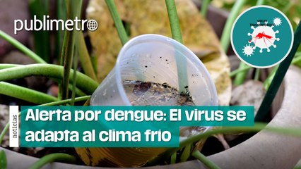 ¡Alerta por dengue! El virus se adapta al clima frío y pone en riesgo nuevas zonas