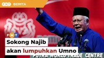 Terus sokong Najib hanya lumpuhkan Umno, kata penganalisis