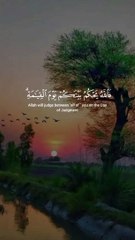 Qur'an recitation with beautiful voice