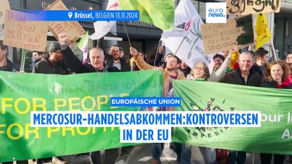 Kann Frankreich das Mercosur-Handelsabkommen blockieren?