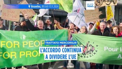 Mercosur, chi potrebbe bloccare l'accordo e a quali condizioni
