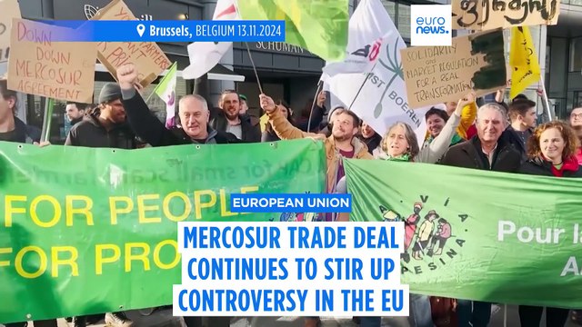 Explainer: Can France block the Mercosur trade agreement?