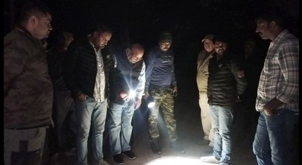 Alwar News: कॉलेज परिसर में बघेरा देखने का दावा, दहशत में लोग