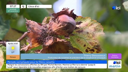 L'ECO d'ICI la détresse des producteurs de noisettes