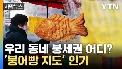[자막뉴스] 붕어빵 찾아 삼만리...인기 끄는 '붕어빵 지도' / YTN