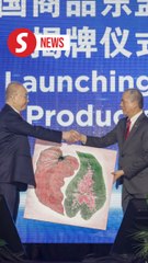 Malaysia to enhance energy sector with China's help, says Fadillah