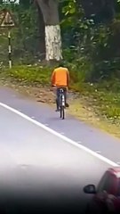 Wild Encounters: Shocking Animal Attacks on Humans (Part 2) 🐾