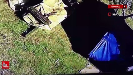 İstanbul'da yılbaşı hindileri, hırsızların hedefi oldu