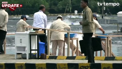 Persiapan Makan Gizi Gratis, Prabowo Cek Tambak Ikan Nila di Karawang
