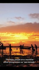 The Incredible Life of the Bajau Sea Nomads