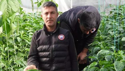 "Türkiye’nin en acı biberi zayıflamaya yardımcı oluyor"