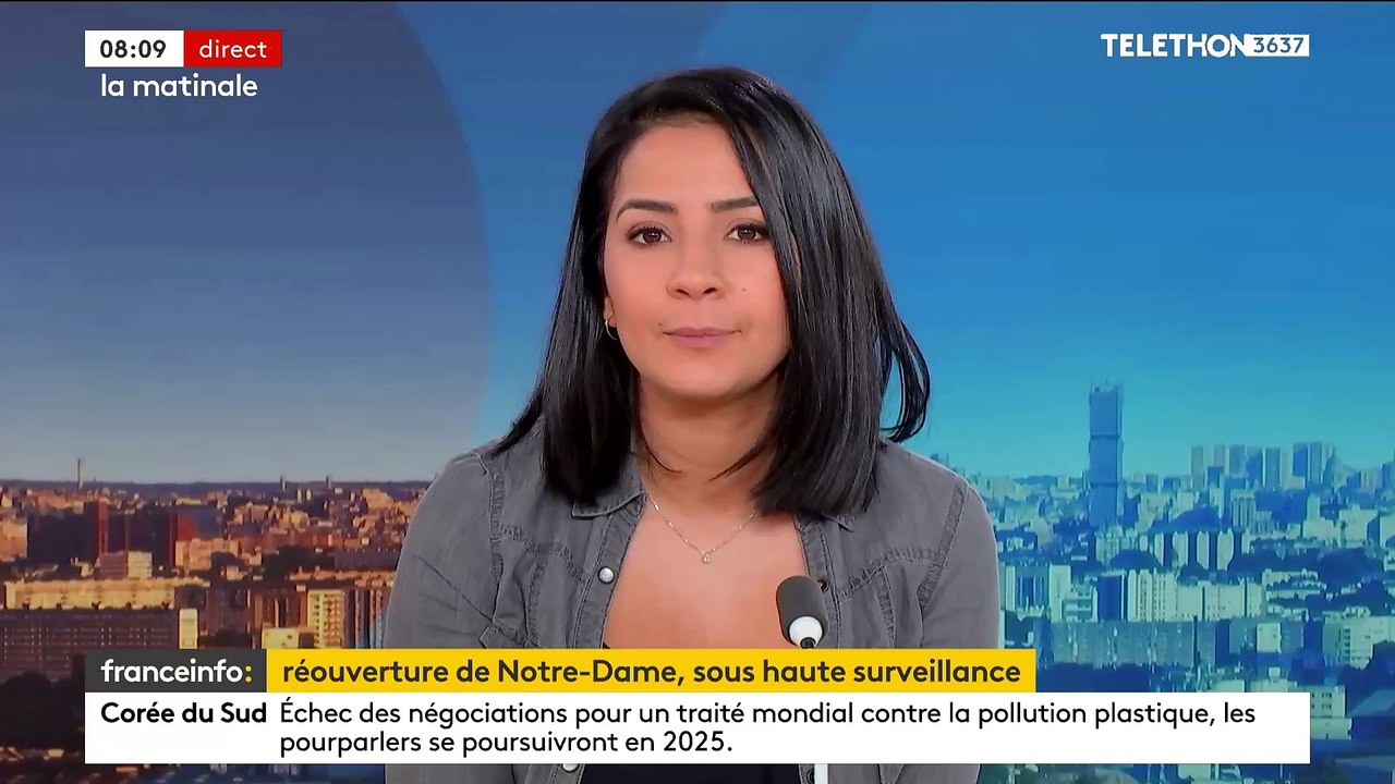 Réouverture de Notre-Dame de Paris ce week-end: Un dispositif de sécurité "exceptionnel", inspiré de celui pour les JO, sera mis en place - VIDEO
