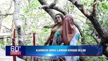 Karbon Biru Lawan Krisis Iklim Terancam, di Mana Keberpihakan Pemerintah? - SPECIAL REPORT