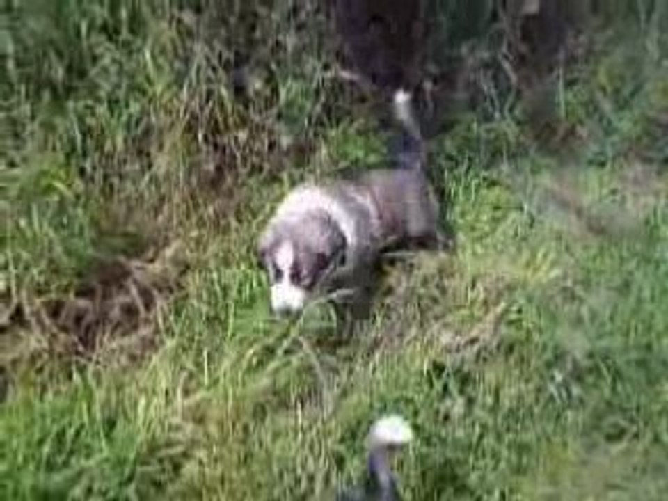 26.04.08 007video