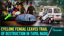 Cyclone Fengal's Aftermath in Tamil Nadu: 19 Dead, Massive Flooding & Destruction Across Tamil Nadu