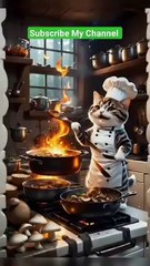 Cute Cat Making Food And Working _ytshorts _cat _kitten _cutecat(360P)