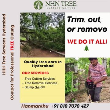 Tree Cutting Services in Hyderabad