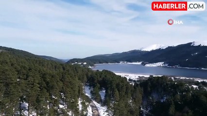 Bolu Yaylalarında Kış Manzarası: Yeşil ve Beyazın Büyüsü