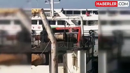 Marmara Denizi'nde Müsilaj Krizi: Durum Ciddileşiyor