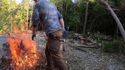 Storm Destroyed the Forest - Building a Bushcraft Shelter & Camping 3 Days