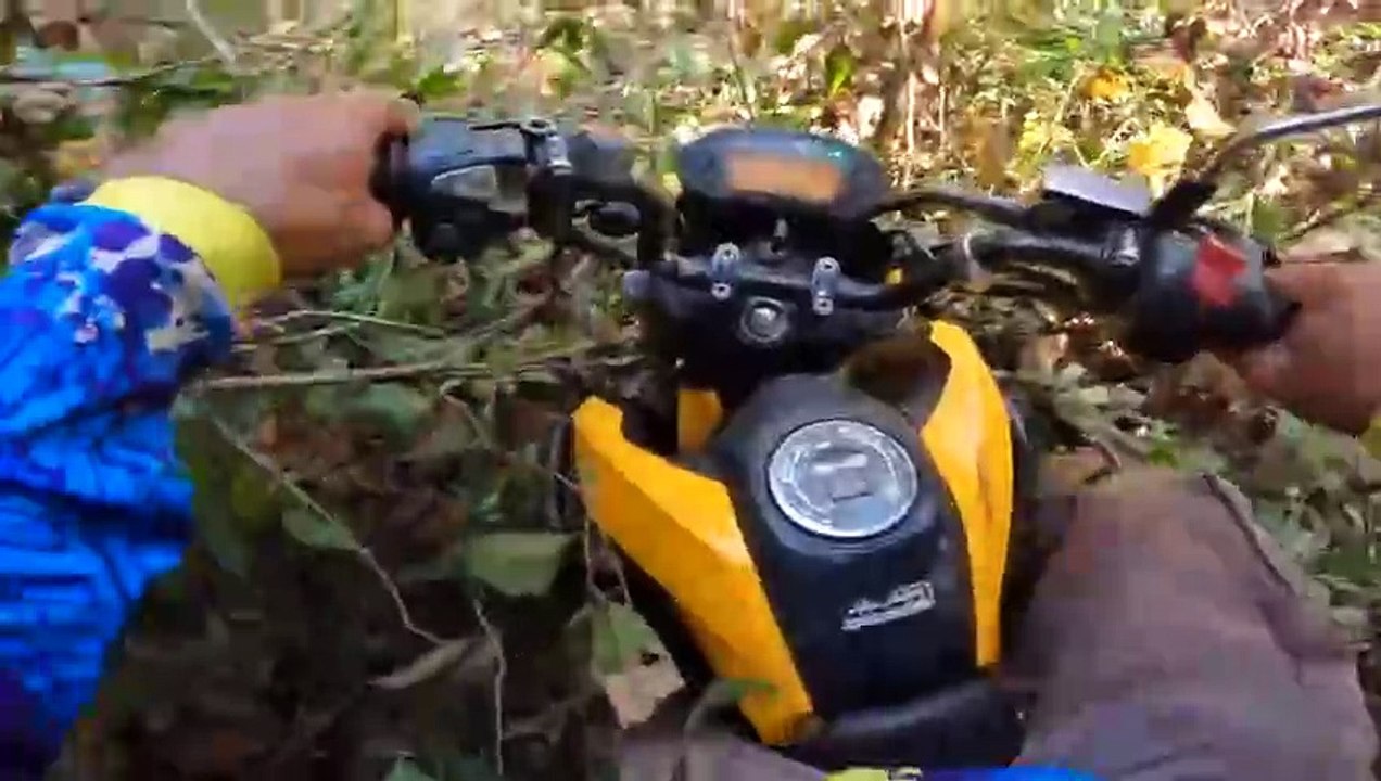 Fishing Adventure ad cook sleeping in the forest មកបបក់ត្រីនីបឹងតាឌៀវ