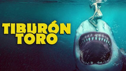 Tiburón Toro | Película Completa Español Latino HD (1080p) | Monstruos