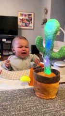 Funny The Talking Cactus - Ready to grab yours_ 🔗 Link in description___Talking cactus toy funny moments _cactustoy _cactus _trynottolaugh _funnyprank _trending _fyp _fypシ゚viral(HD)