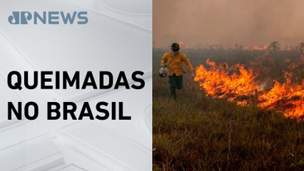 Brasil registra 22.663 focos de incêndio em novembro
