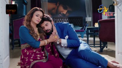Sitara Episode 214 Part 1 - Aarya braces to move on - November 29 2024 | ETV Plus