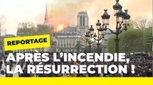 Notre Dame de Paris : de l'incendie à la résurrection | Paris, ville lumière | Ville de Paris